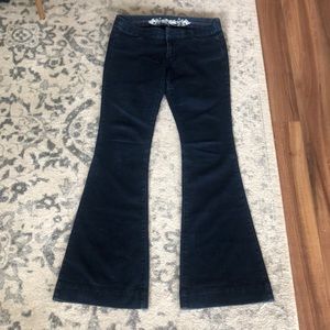 Express bell bottom jeans